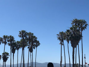 Meet your Posher, River